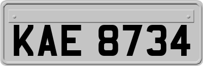 KAE8734