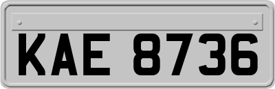 KAE8736