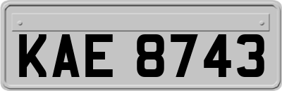 KAE8743