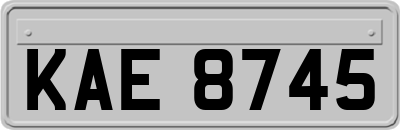 KAE8745