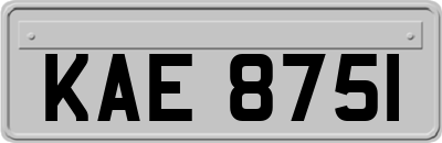 KAE8751