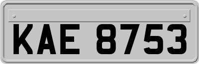 KAE8753