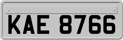 KAE8766