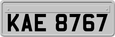 KAE8767