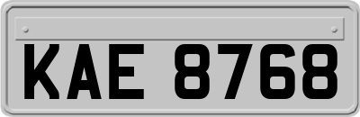 KAE8768