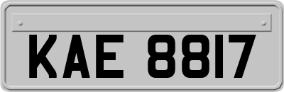 KAE8817