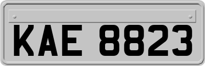KAE8823