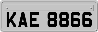 KAE8866