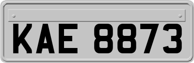 KAE8873