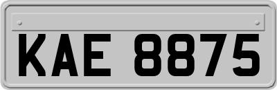 KAE8875