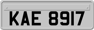 KAE8917