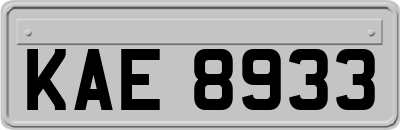 KAE8933