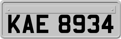 KAE8934