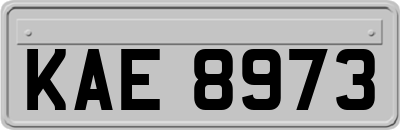 KAE8973