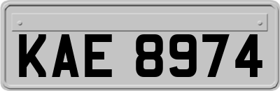 KAE8974