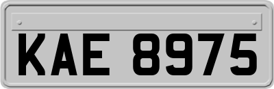 KAE8975