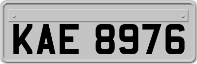 KAE8976