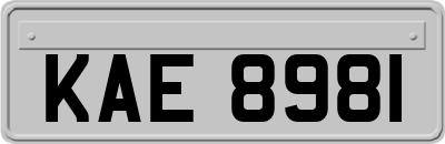 KAE8981