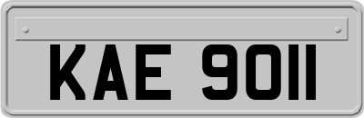 KAE9011