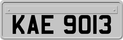 KAE9013