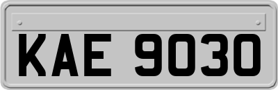 KAE9030
