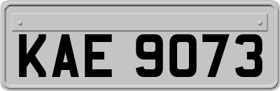 KAE9073