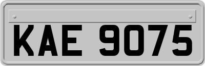 KAE9075