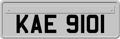 KAE9101