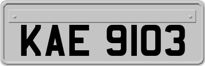 KAE9103