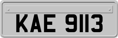 KAE9113