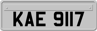 KAE9117