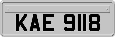 KAE9118