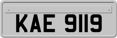 KAE9119
