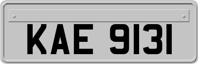 KAE9131