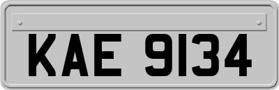 KAE9134