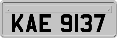 KAE9137