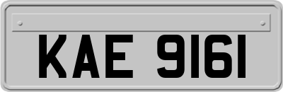 KAE9161