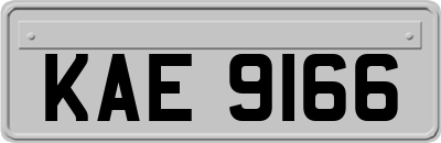 KAE9166