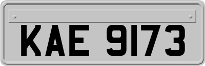 KAE9173