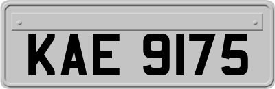 KAE9175