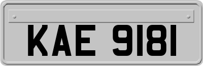KAE9181