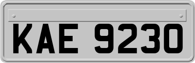 KAE9230
