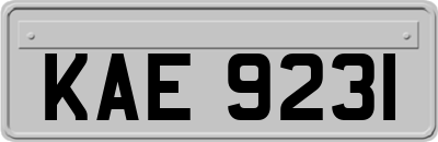 KAE9231