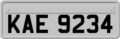 KAE9234