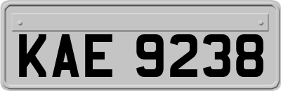 KAE9238