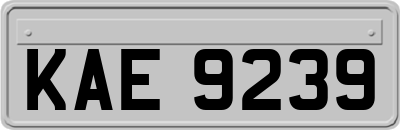 KAE9239