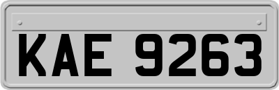 KAE9263