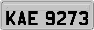 KAE9273