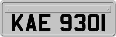 KAE9301