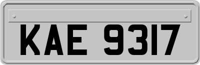 KAE9317